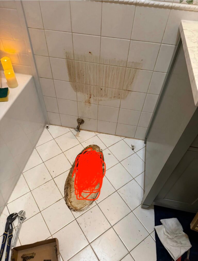 WhatsApp Image 2026-04-17 at 9.54.19 AM (1)