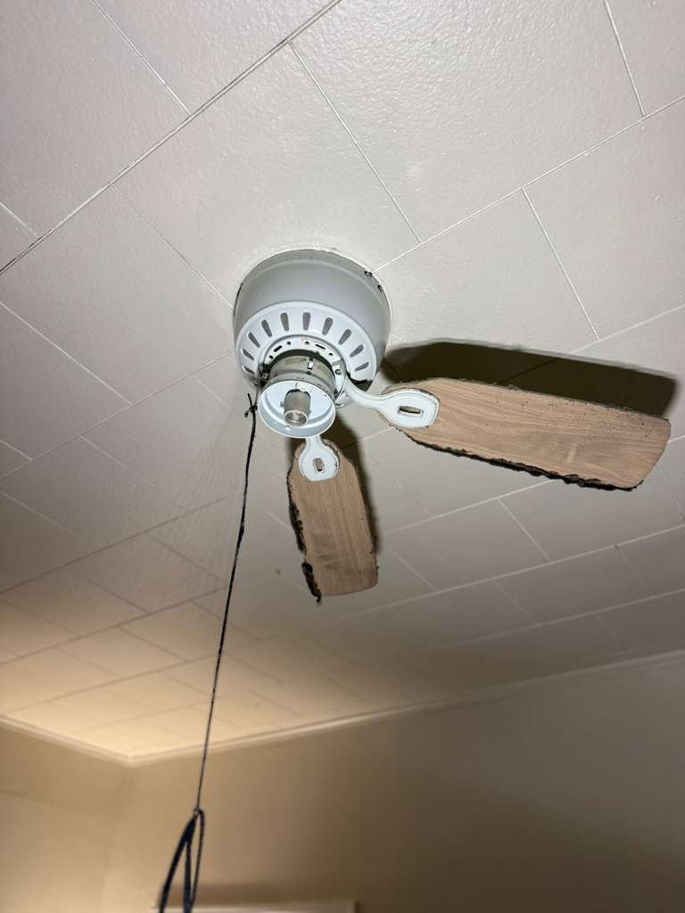 WhatsApp Image 2026-04-17 at 9.55.26 AM (1)