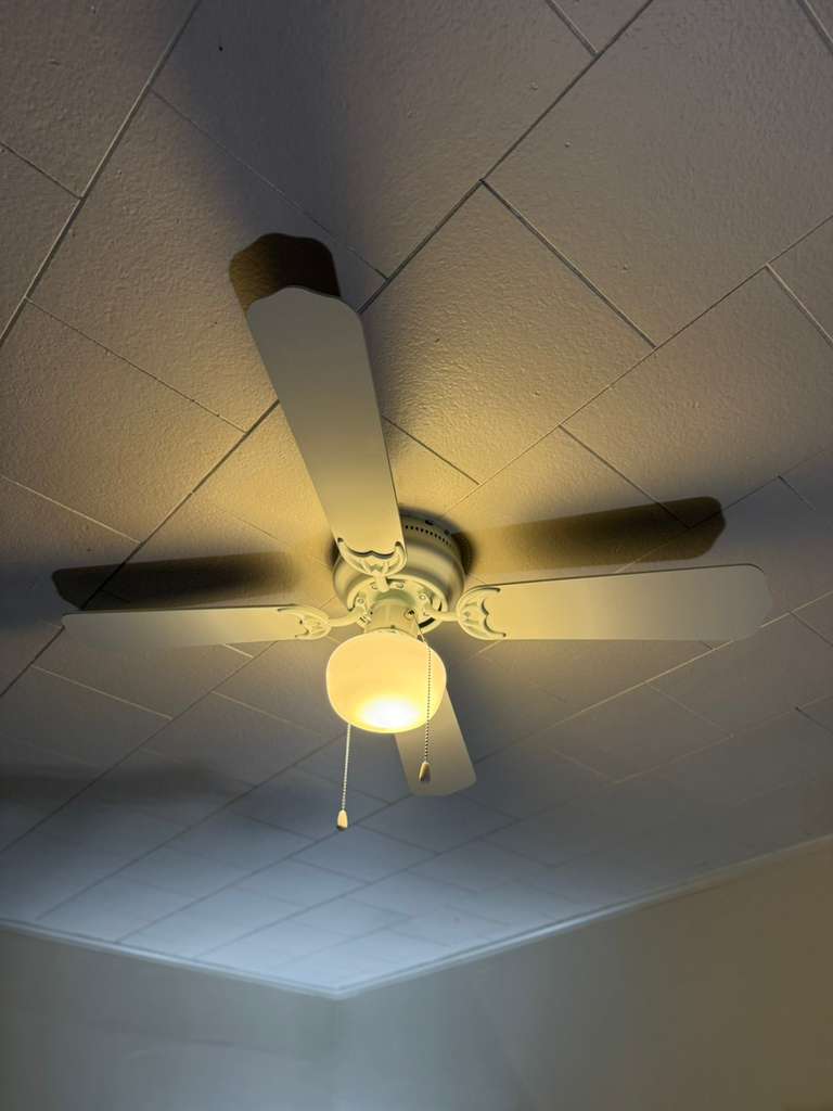 Ceiling Fan Mount